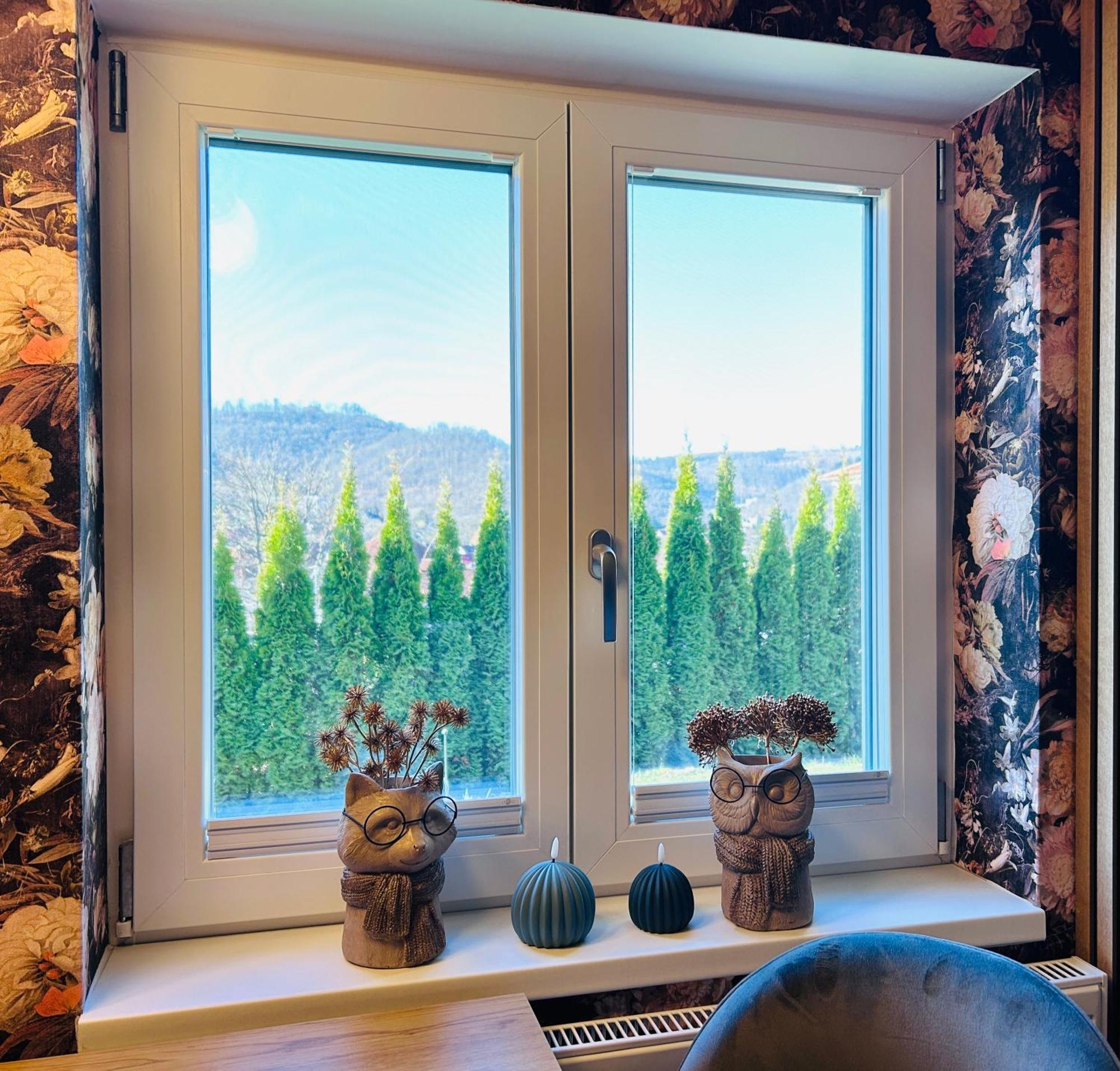Wohnung Goethe'S Bergblick Bad Harzburg Exteriör bild